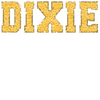 Dixie Faux Embroidery Glitter by Print Palette