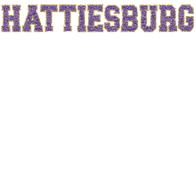 Hattiesburg Faux Embroidery Glitter by Print Palette